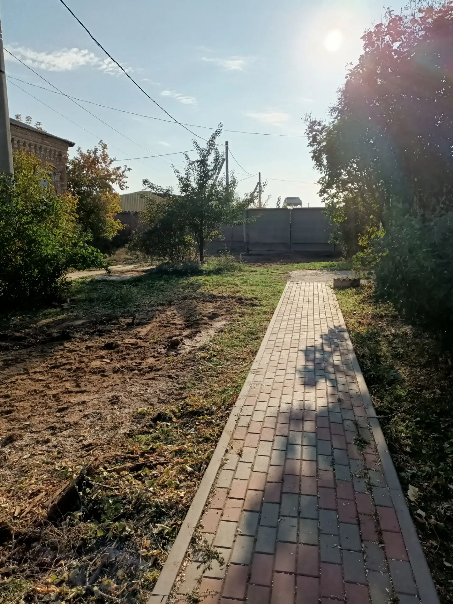 Утро не доброе , к сожалению. Чем мешали живые, молодые деревья я не понимаю...