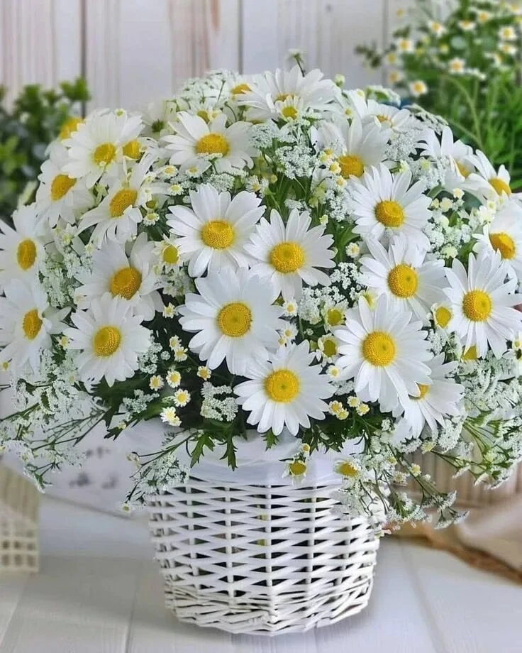 🌼🌿Сегодня у меня достаточно сил, чтобы воплотить хотя бы одну задумку — и этого уже д...