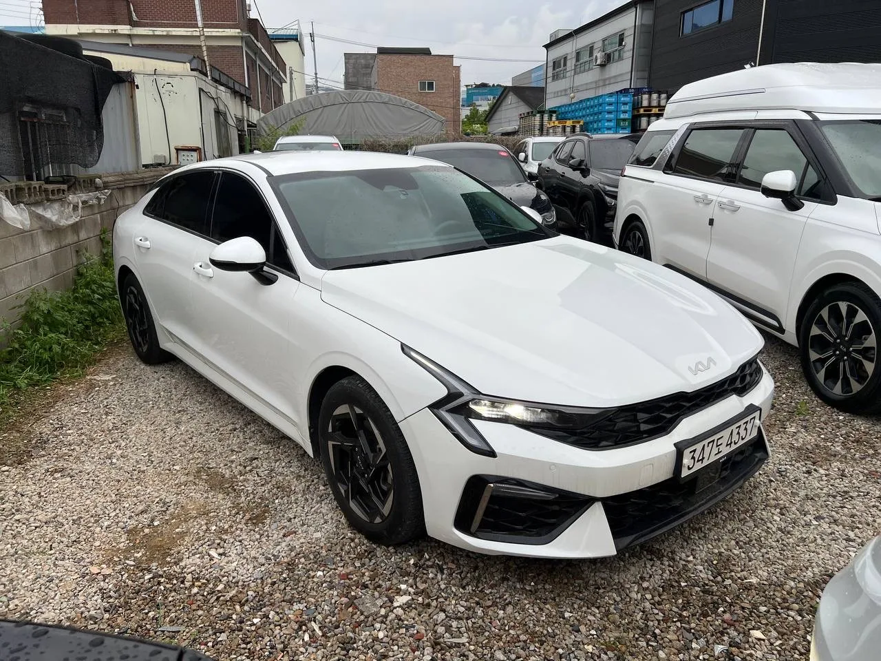 🚨КУРСЫ ПРОСЕЛИ🚨  Автомобиль в ПРОДАЖЕ😍😍😍  В РОДНОМ ОКРАСЕ😎😎😎   ВИДЕООБЗОР прилагаю сразу🫡  Kia K5❤️ 