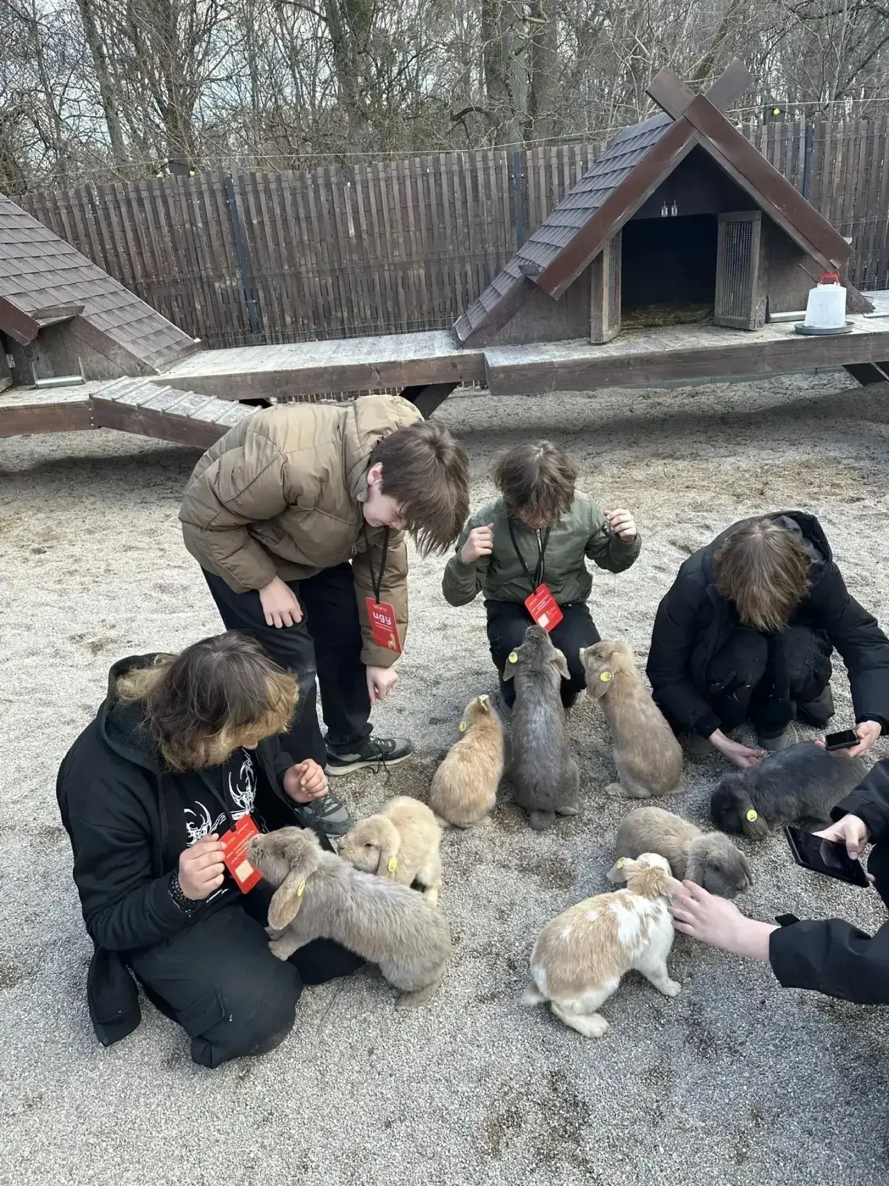 Каникулы начинаются с добра! 🥕🍃 Ученики 7В побывали в Парке Альпак. Говорят, что это место, где у ст