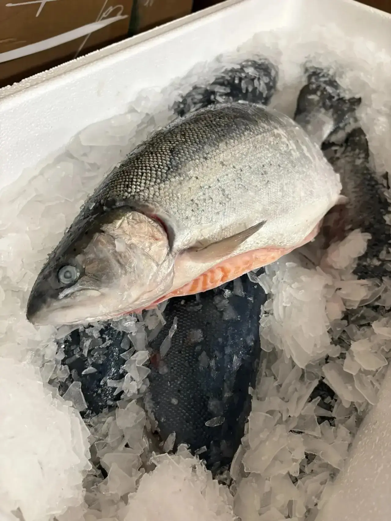 СВЕЖИЕ ЯГОДЫ И МОРЕПРОДУКТЫ — НЕ ВЫХОДЯ ИЗ ДОМА🍓🍤🐟