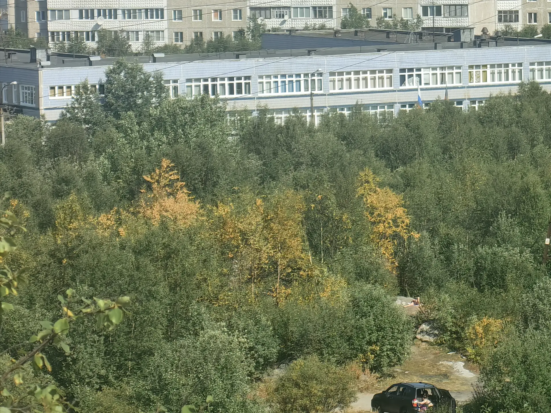 Кстати, на юге города замечены первые желтеющие березы. Причем это не ржавчинный грибок, как ранее б