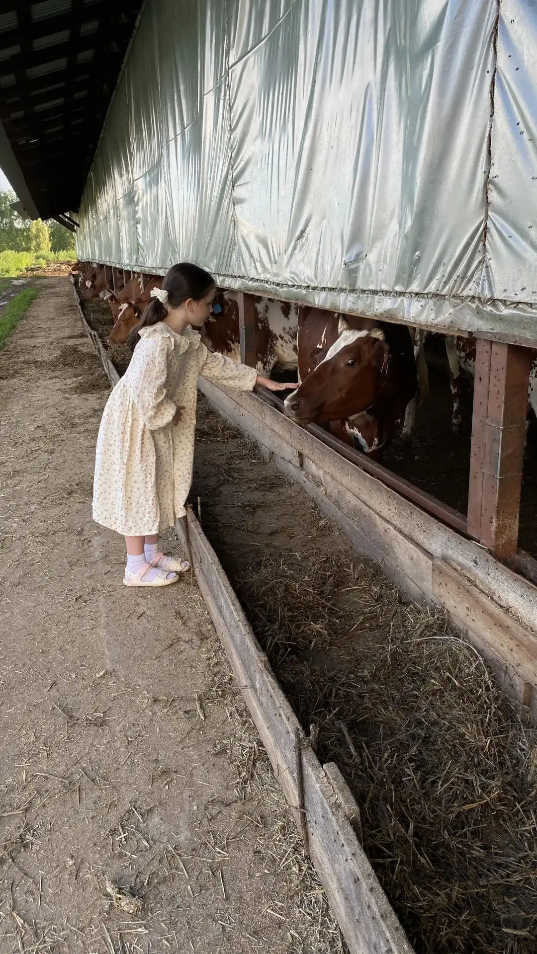 📸 Рубрика «Покажи своё лето» продолжается. 

 ☀️ Свой летний привет передаёт Гранкина Екатерина, уч