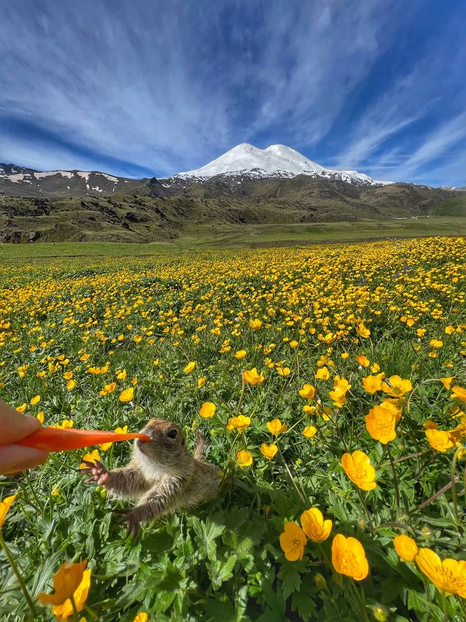 Новый день 🌼⛰️

Доброе утро, друзья !
Время позавтракать и отправиться на встречу новому дню

Фото: