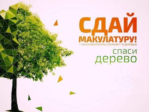 Внимание! Продолжается сбор макулатуры!Сохраним природу вместе!