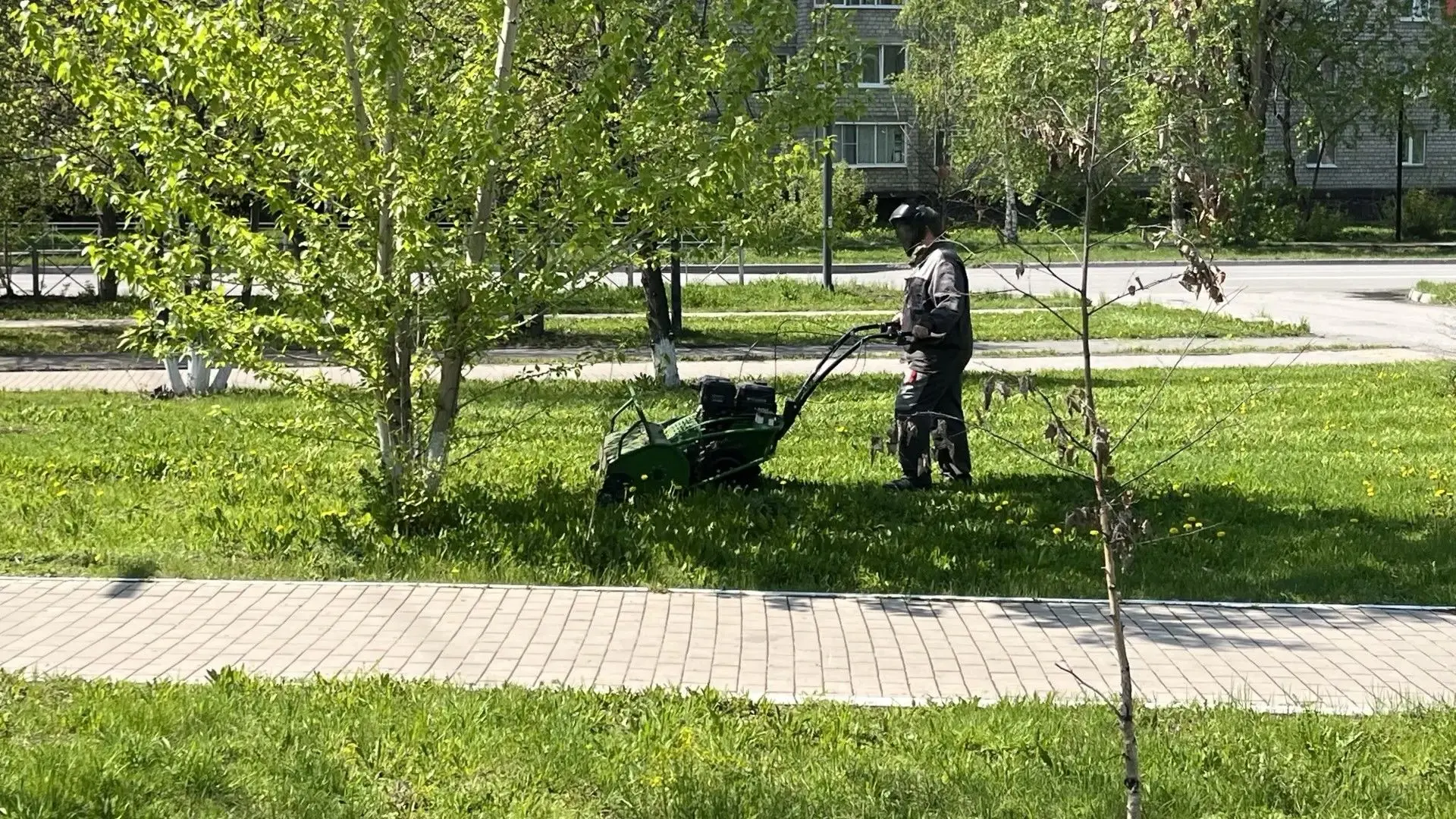И еще и порядке на улицах.. Ответственные за чистоту есть, но чистоты нет.

«Почему так грязно круго