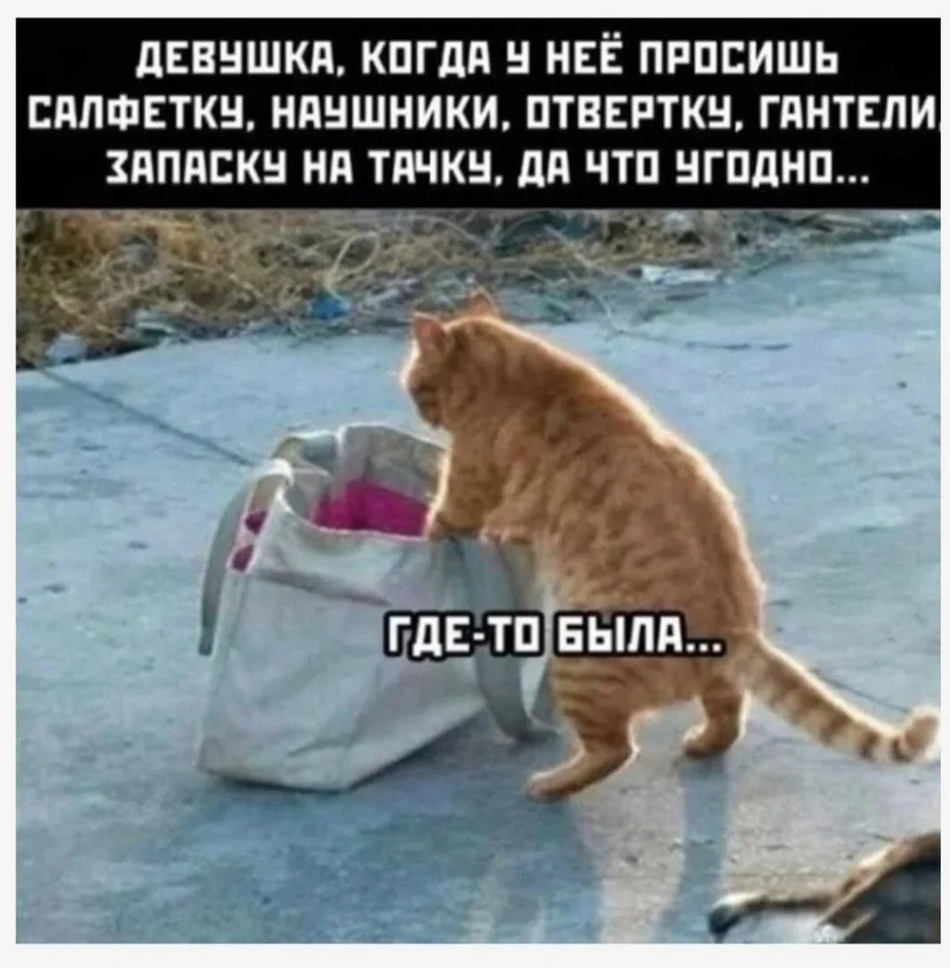 База