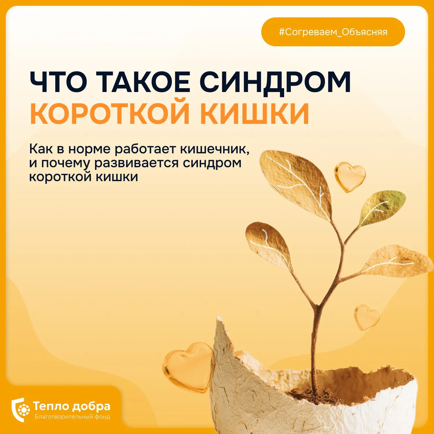 Что такое синдром короткой кишки? 🤔