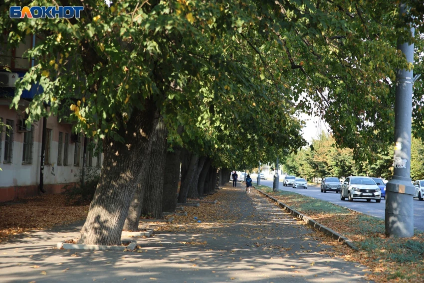В Краснодаре снова пахнет сероводородом