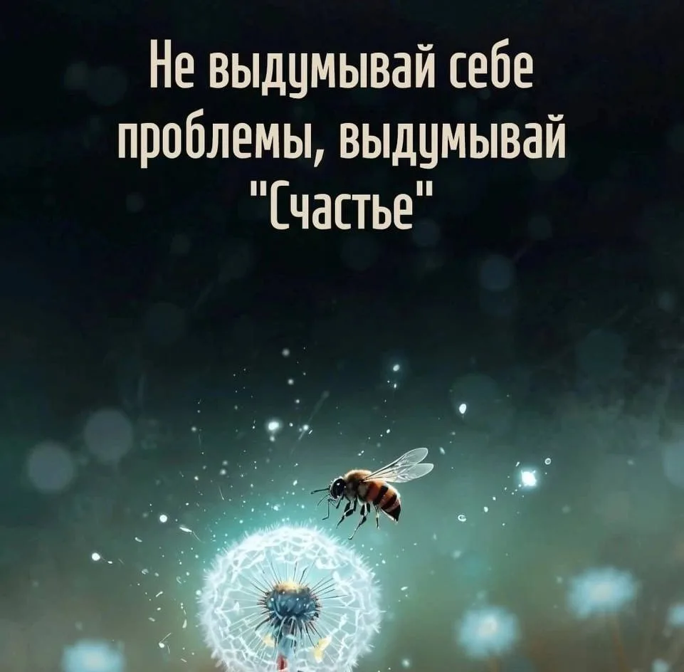 🎯 Мудрость народная ☀️
