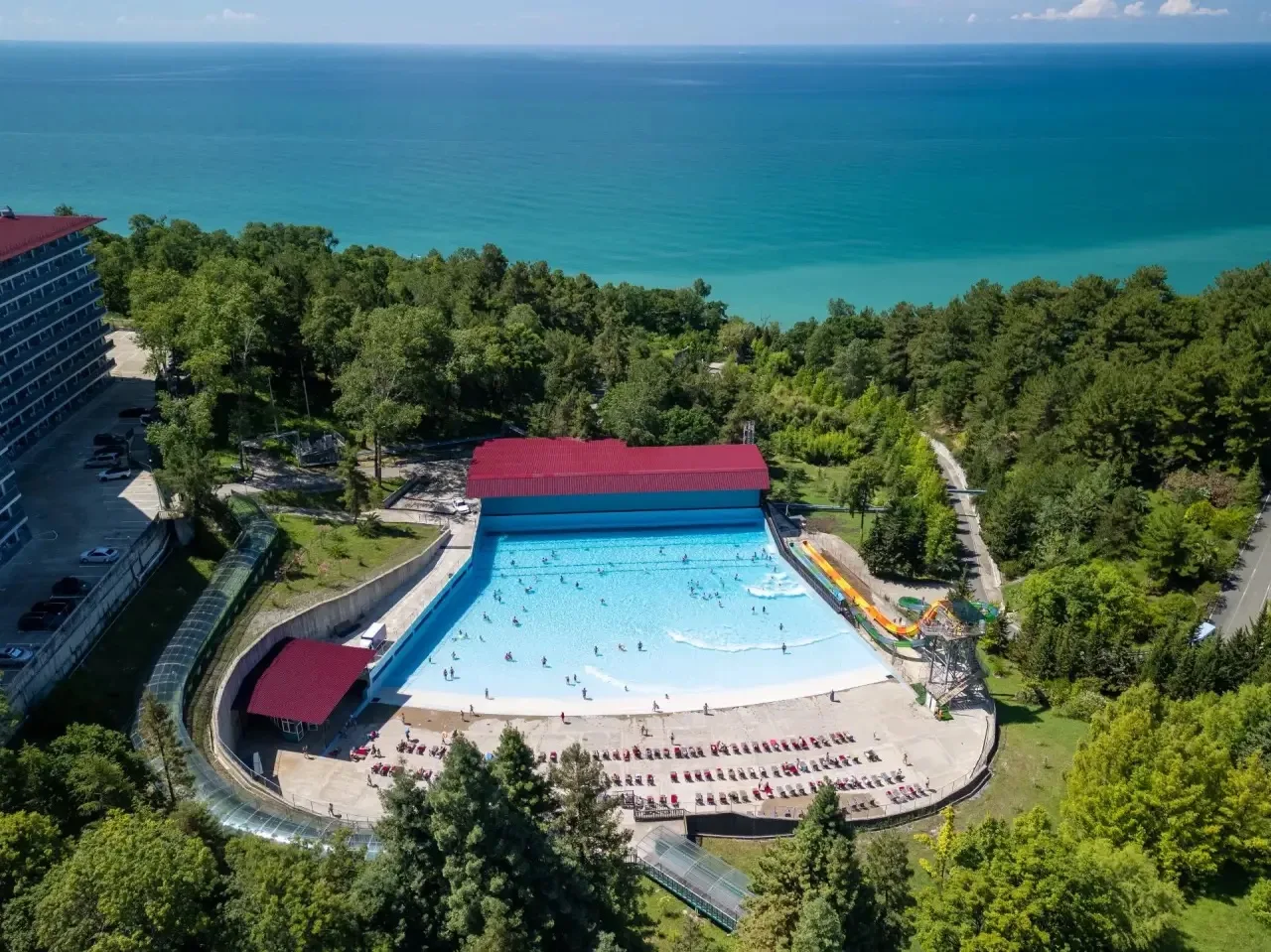 Поймайте большую волну в Сочи 🌊