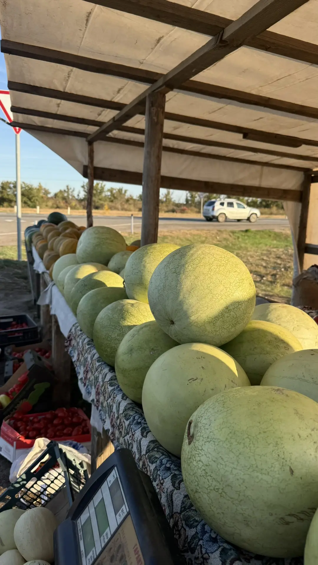 ВОЛГОГРАД. ЧАСТЬ 3 🍉