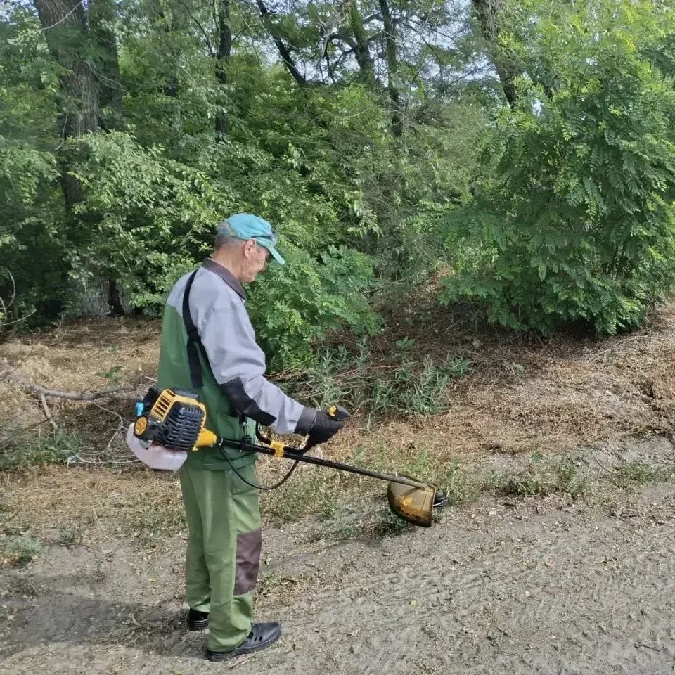 🌥️ В Гагаринском районе продолжаются плановые работы по благоустройству

Сегодня в районе ведутся р