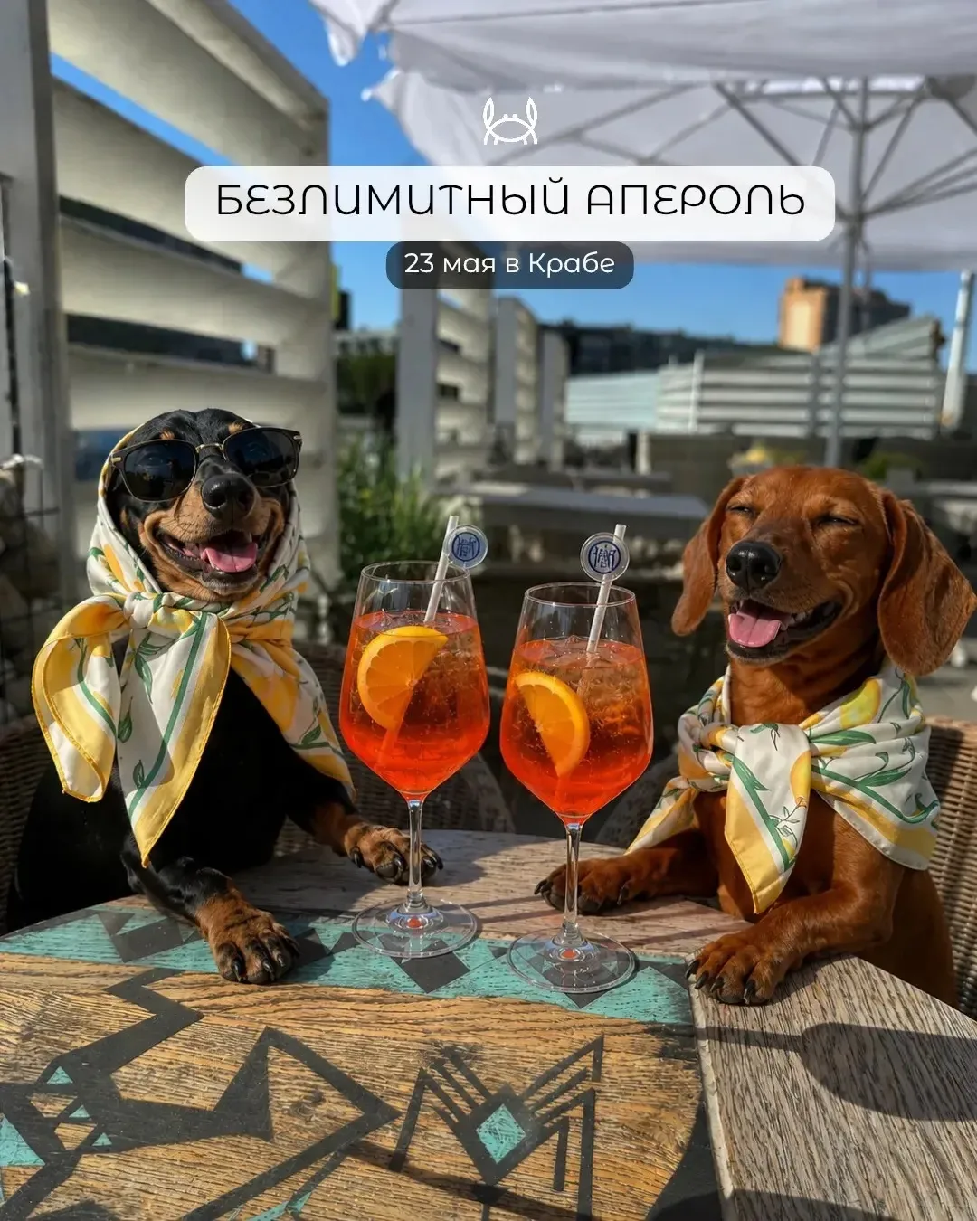 🍹 Девчонки, общий сбор! Или три честные причины прийти в эту субботу в Краб: