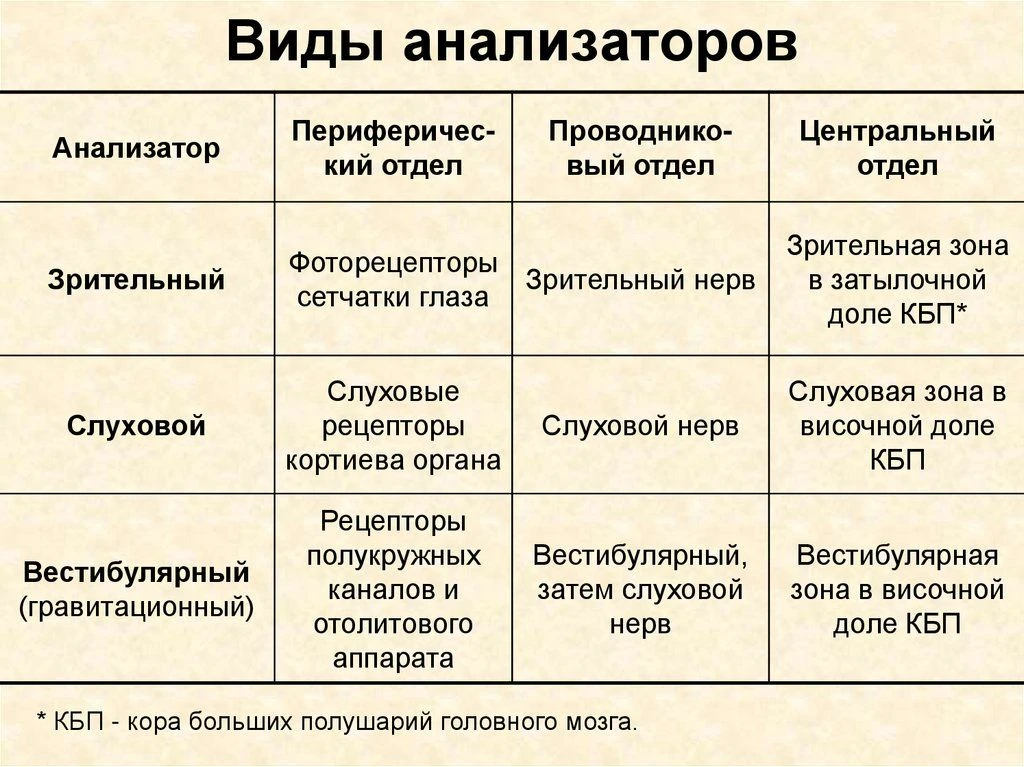 Виды анализаторов