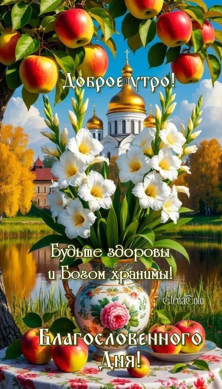 Доброе утро, дорогие!