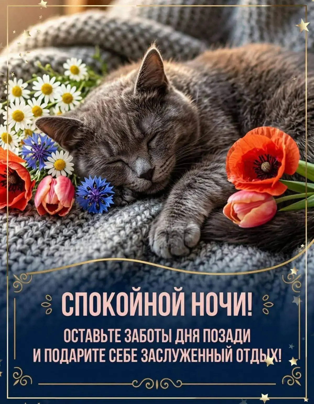 Подпишись✅ что бы не потерять нас