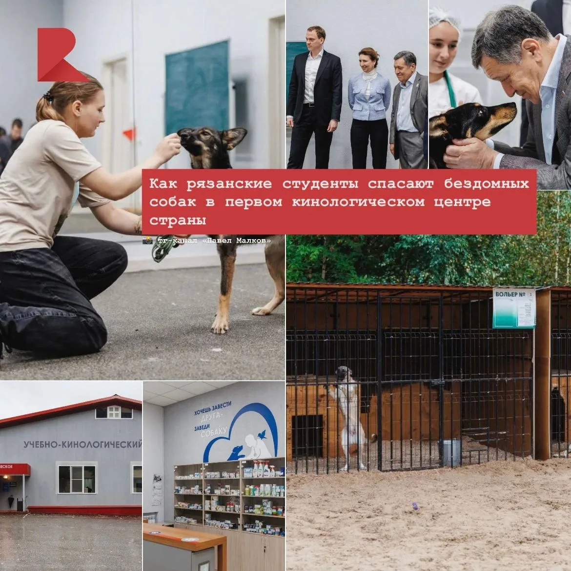 🐕 Год назад в Рязанском колледже им. Комарова открылся первый в стране учебно-кинологи...