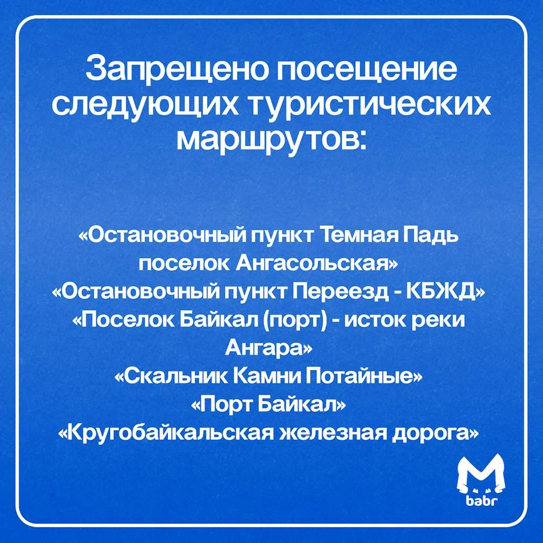 Шесть туристических маршрутов закрыли из-за медведей в Иркутской области.