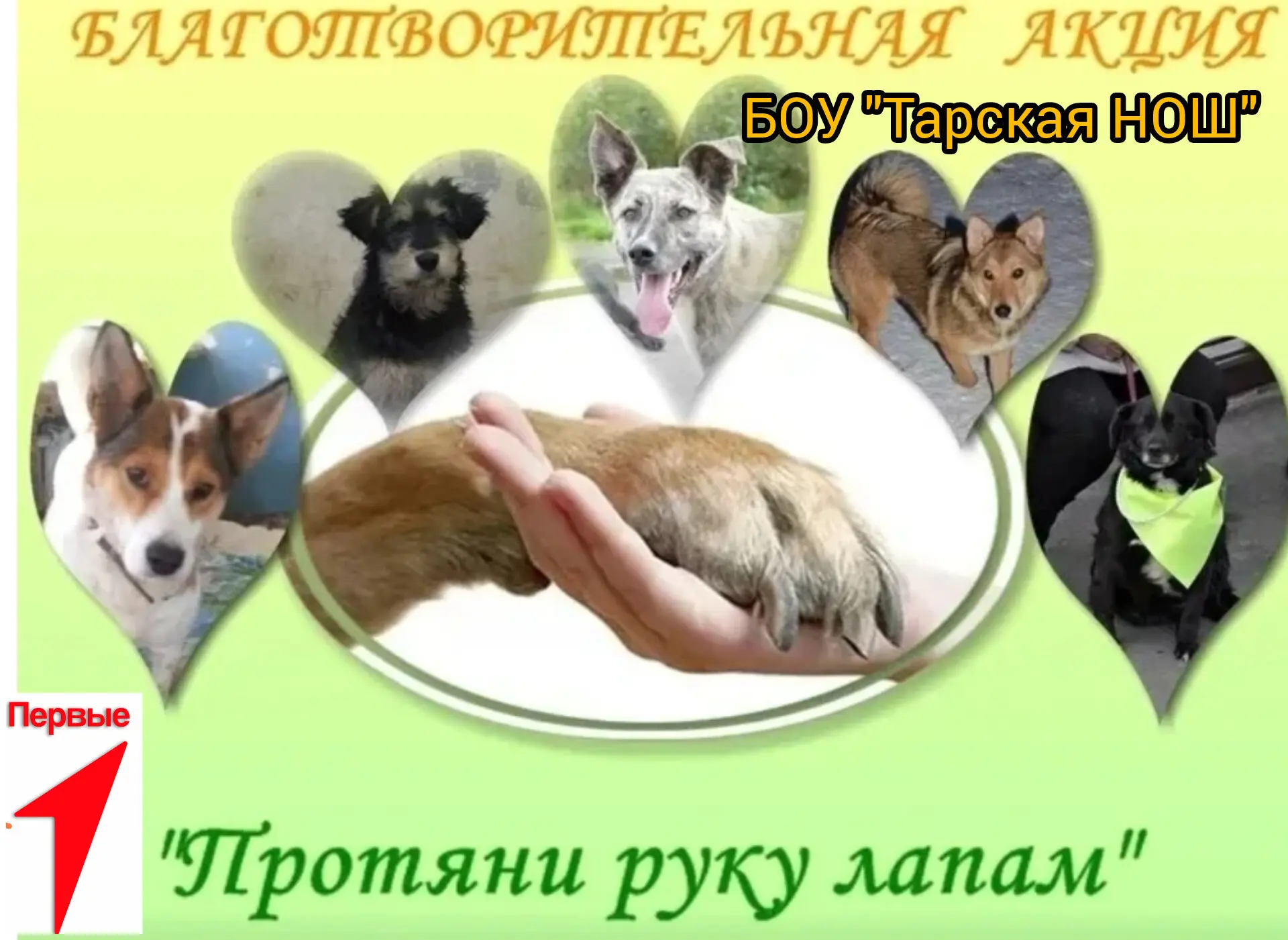 📢ВНИМАНИЕ! ВНИМАНИЕ!