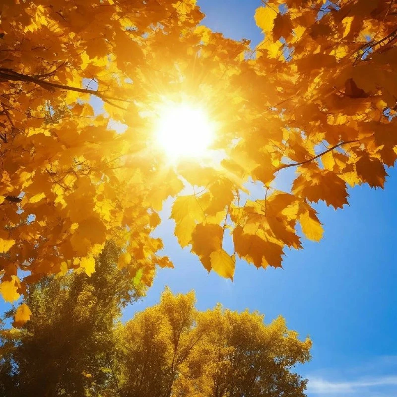 ☀️ В Самарской области к четвергу потеплеет до +18 градусов.