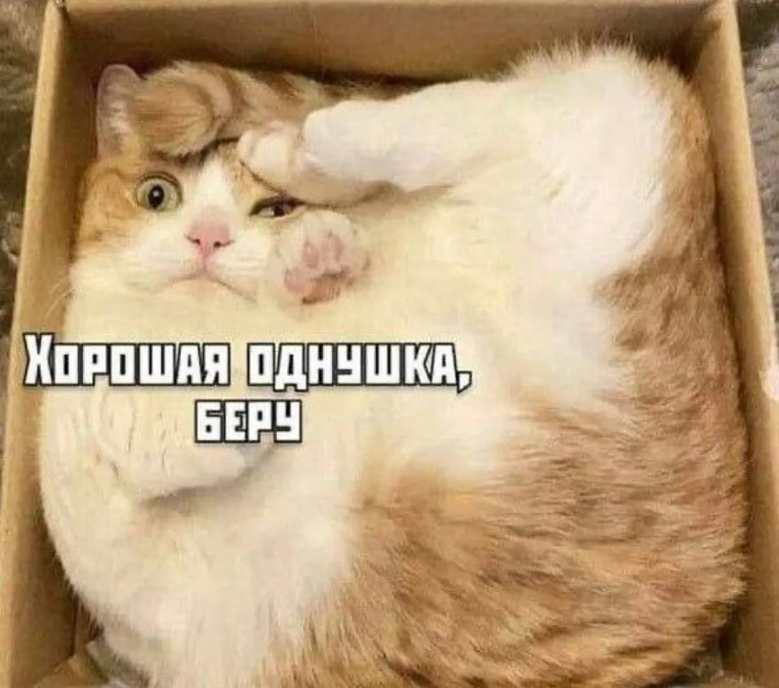 📉 Цены на массовое жильё в Краснодаре продолжают оставаться на уровне последних лет

На рынке недви