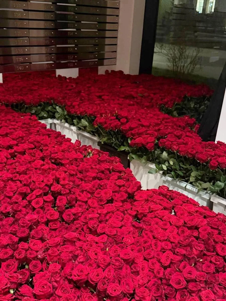 🌹  В Москве девушка отказалась от 20 тысяч роз за 70 млн рублей  История на богатом, в Москве в одно