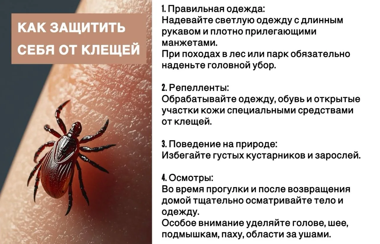 📌Вторая волна клещей