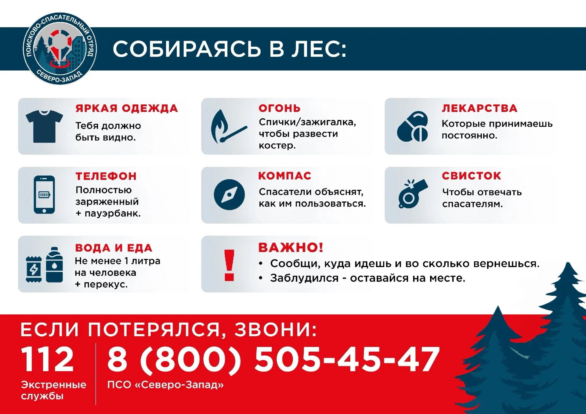Наступает сезон тихой охоты, когда в лесах нашего региона появляются грибы и ягоды. Пет...