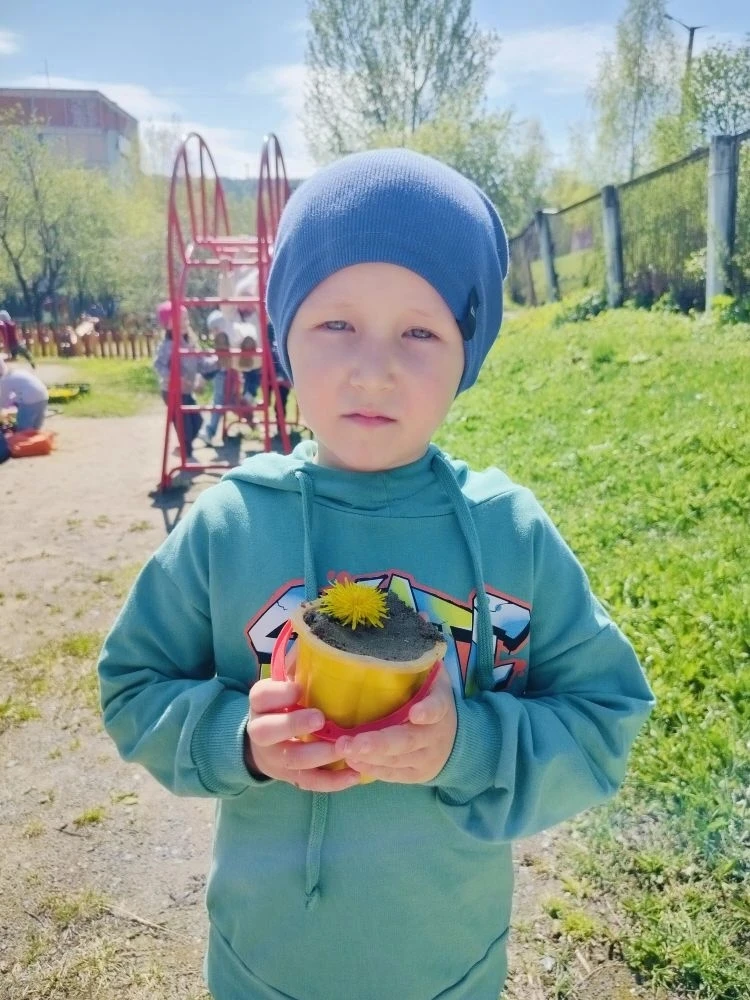 День одуванчика!