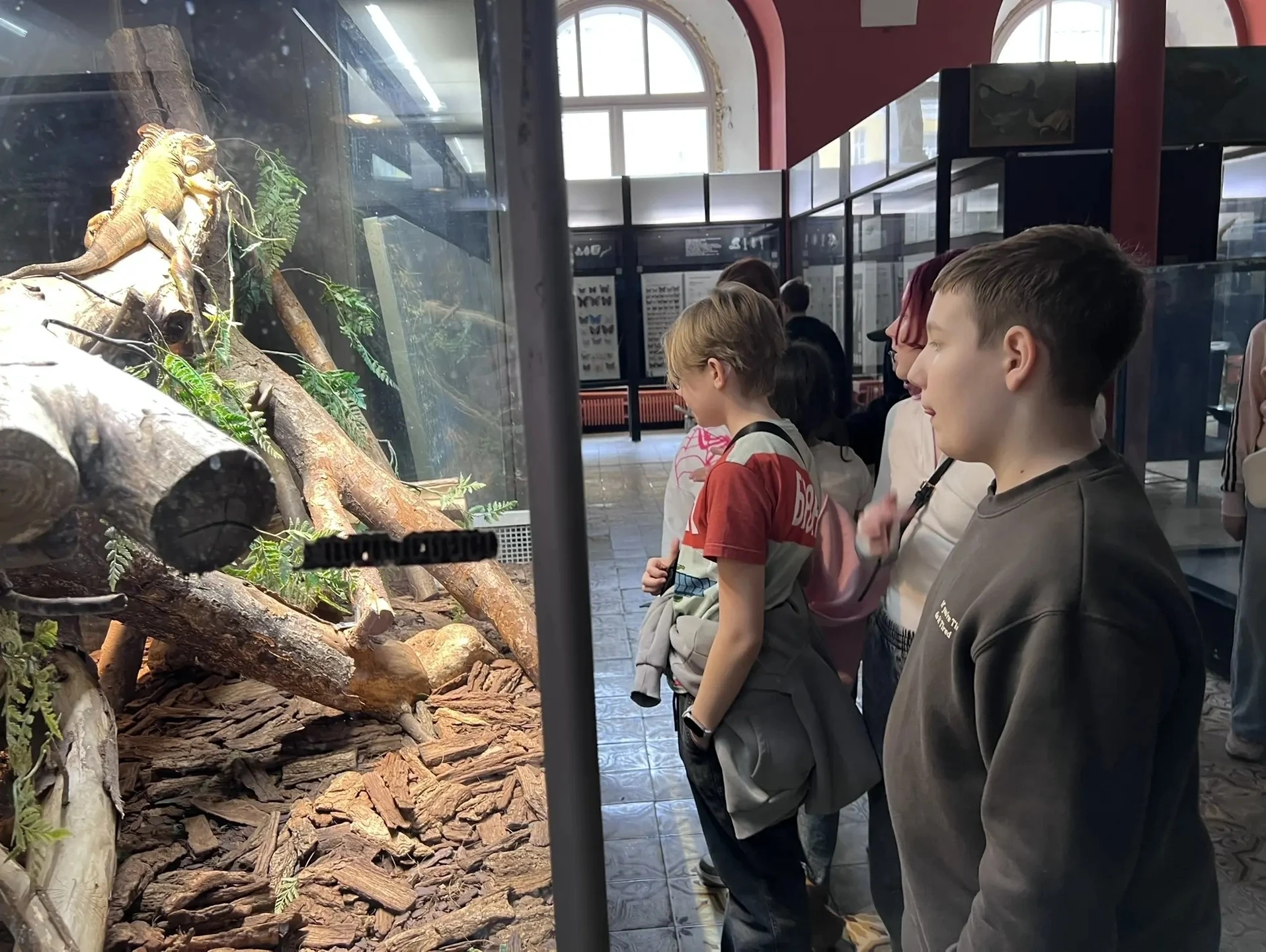 🦖 В гости к древним гигантам: 5 «И» в Зоологическом музее МГУ  🏛 Учащиеся 5 «И» класса на один день 