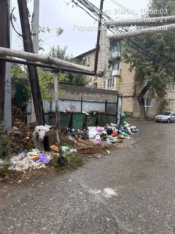 В Махачкале нашли нарушения с вывозом мусора на десяти адресах