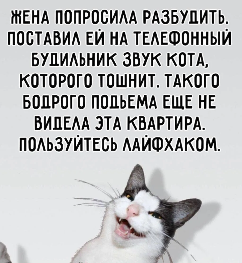 Вишенка на Торте