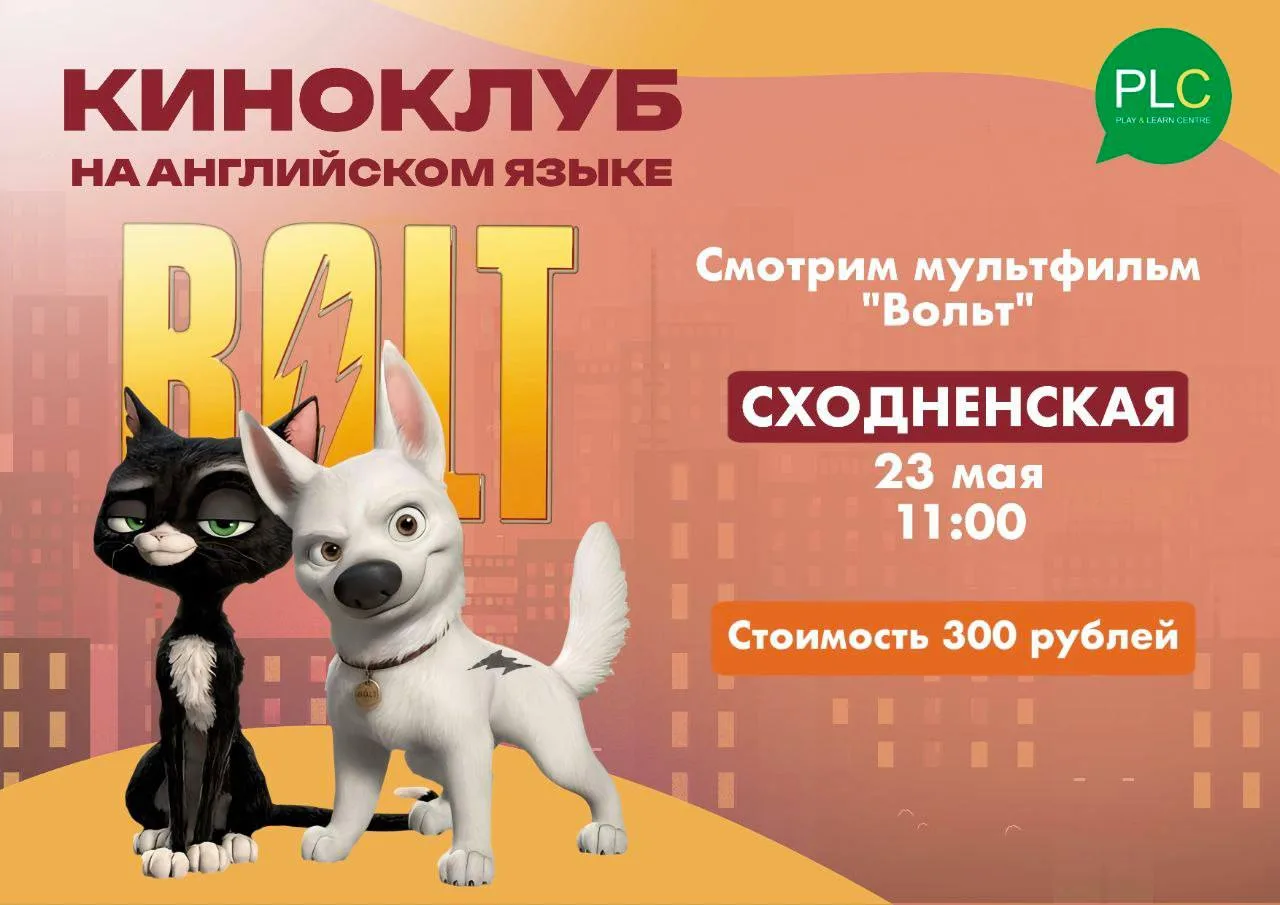 Заключительный киносеанс этого учебного года 🎬