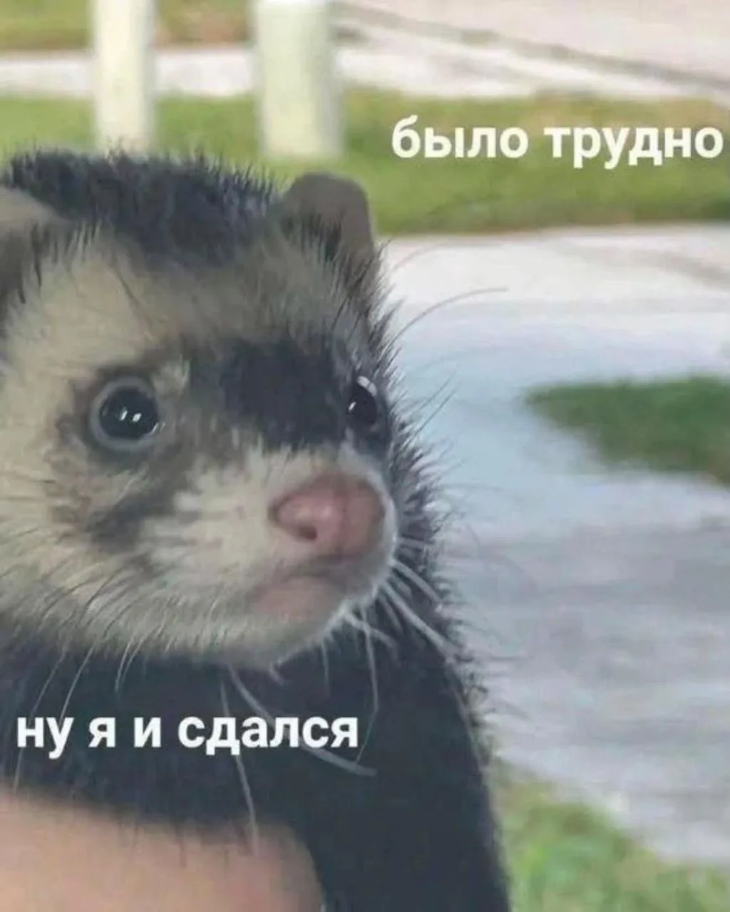 Живём как соседи