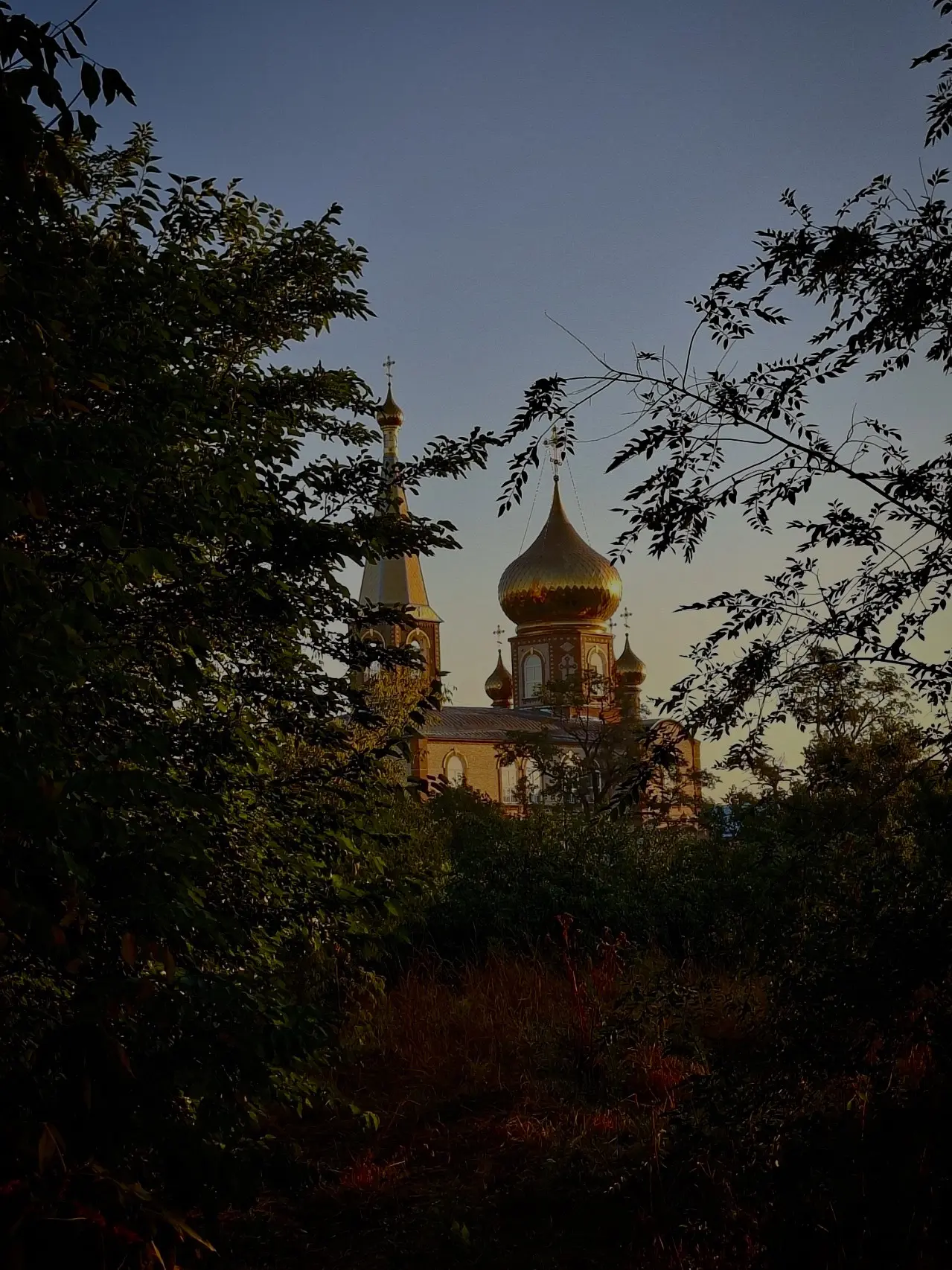 Тихой ласковой ночи, друзья 💤