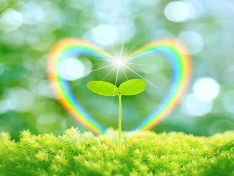 🌸💛🌸💛🌸💛🌸💛🌸