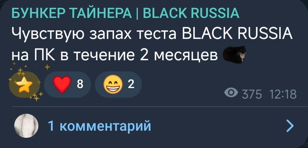 🫪 Тайнер считает что тест ПК-версии BLACK RUSSIA может начаться в течении следующих дв...