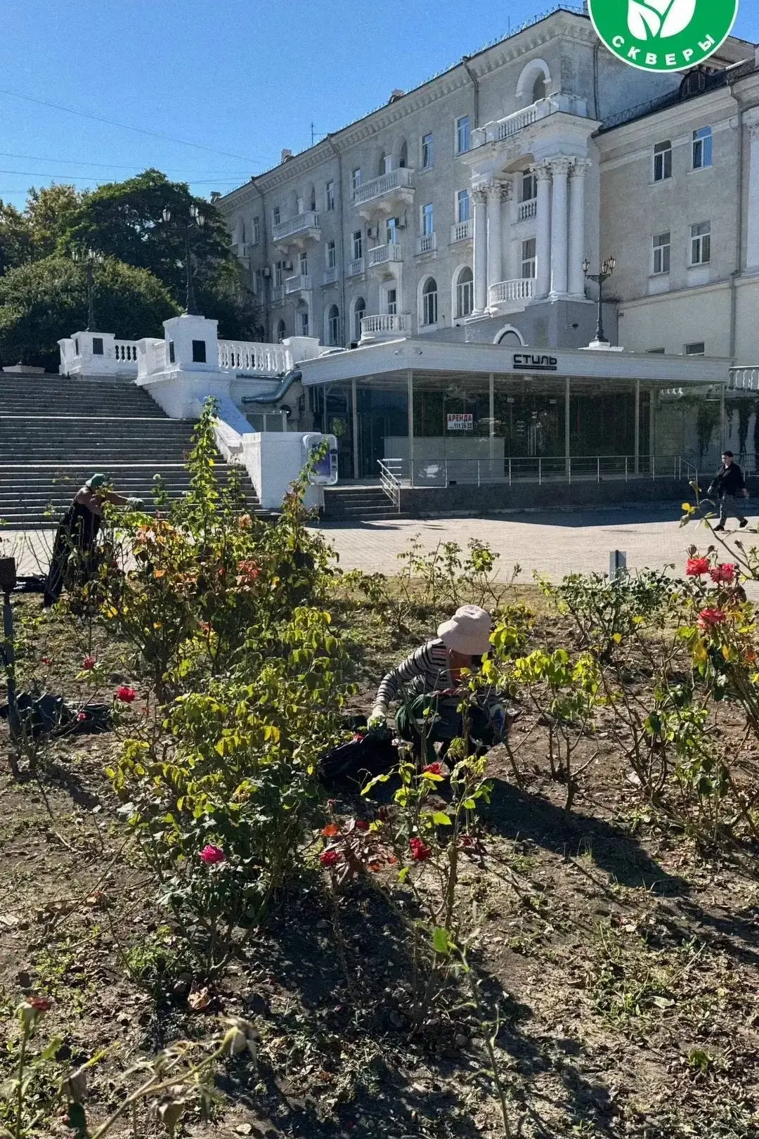 🌹 Специалисты «Парков и скверов» провели стрижку розария