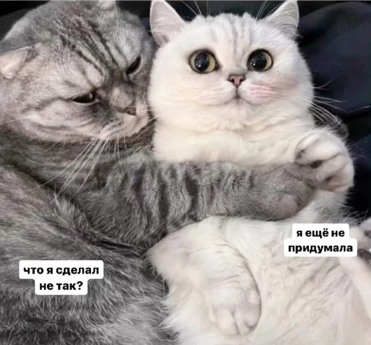 🚨🦖 Мужской гайд по выживанию: сексологи выкатили 10 признаков того, что твоя девушка —   абьюзер! 