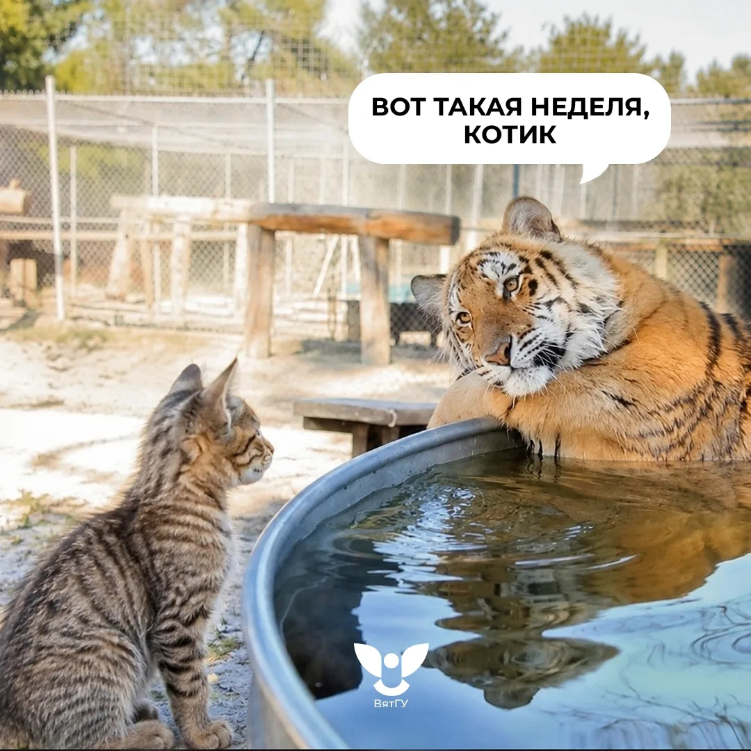 Вот такая выдалась первая учебная неделя 🙂‍↔️