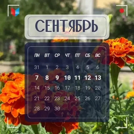 🍁 АНОНС на 7 –13 сентября 2026 года 🍁