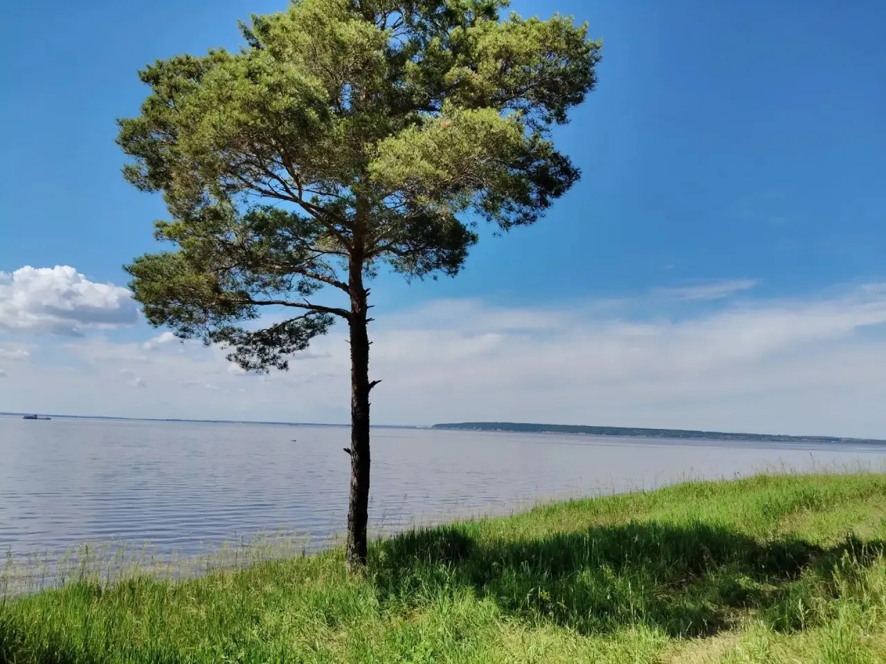 Хәерле иртә, балыкбистәлеләр! ☀️