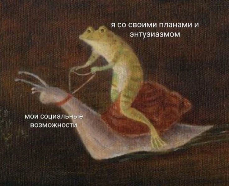 любим лягушек и жабок