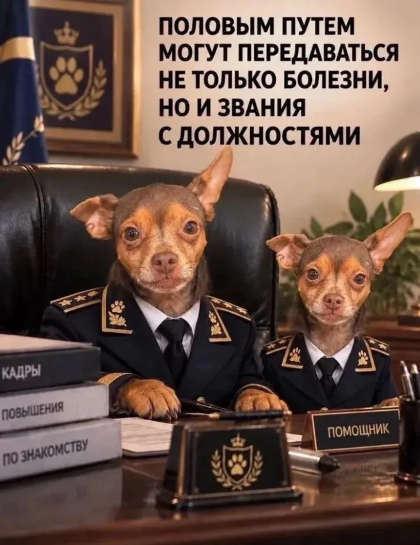 🧑‍🧑‍🧒‍🧒 ОЛЕГ НИКОЛАЕВ С КОМАНДОЙ СПРАВЕДЛИВОЙ РОССИИ ПРОМЕНЯЛИ ДОВЕРИЕ ЛЮДЕЙ И БЫВШ...