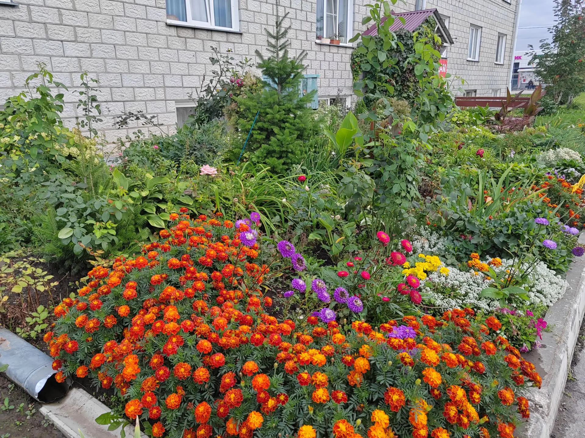 Просто подъезд многоквартирного дома в Светлом. Умеют же люди! 😍😍😍