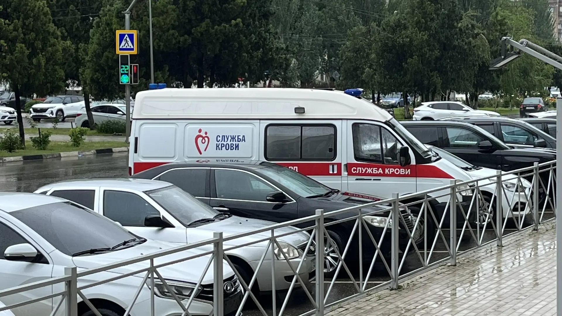 🩸 Сотрудники Центра занятости населения РД приняли участие в донорской акции