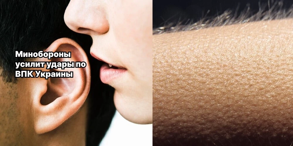Юмор