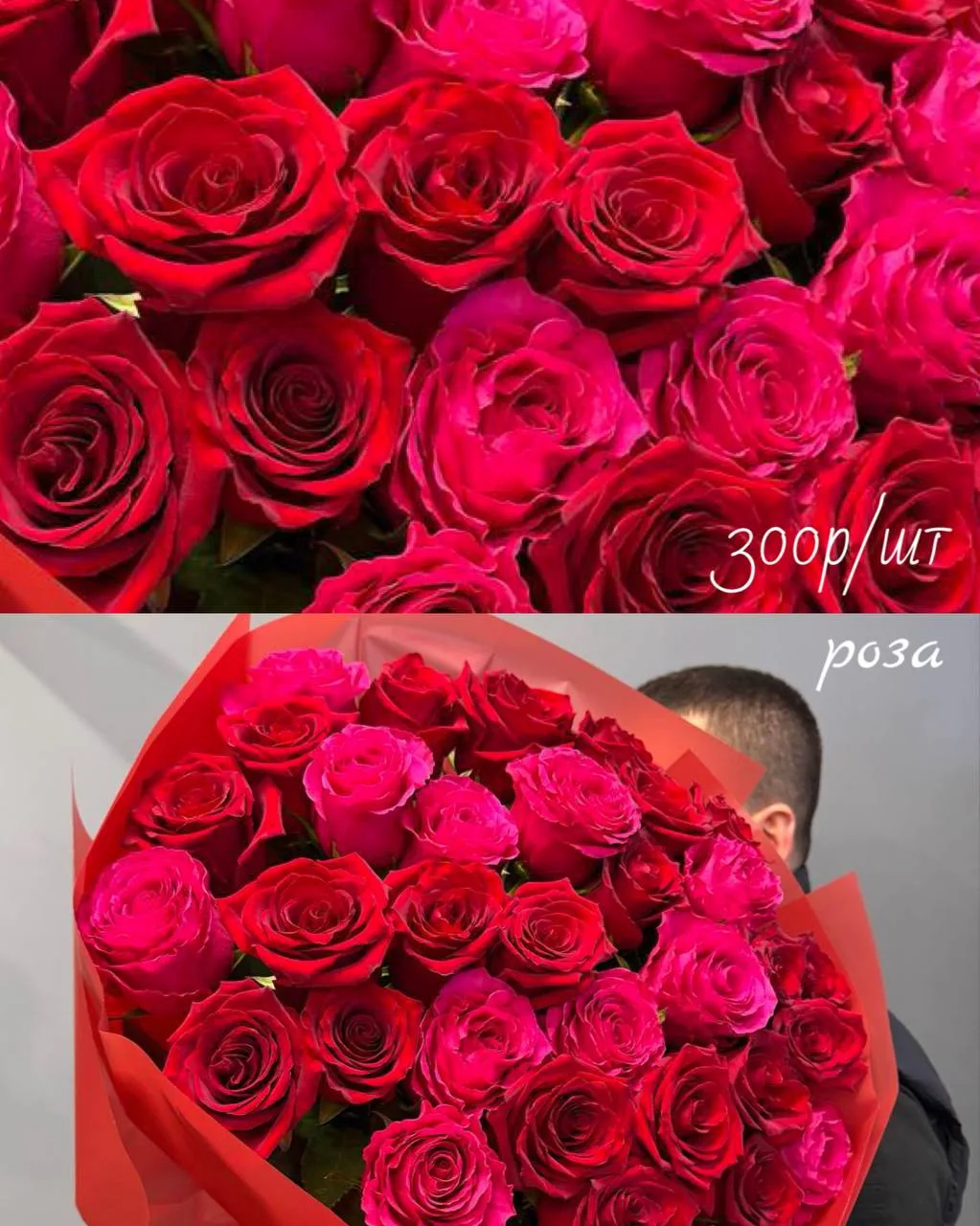 Это самые ароматные розы на планете! 🌹😍