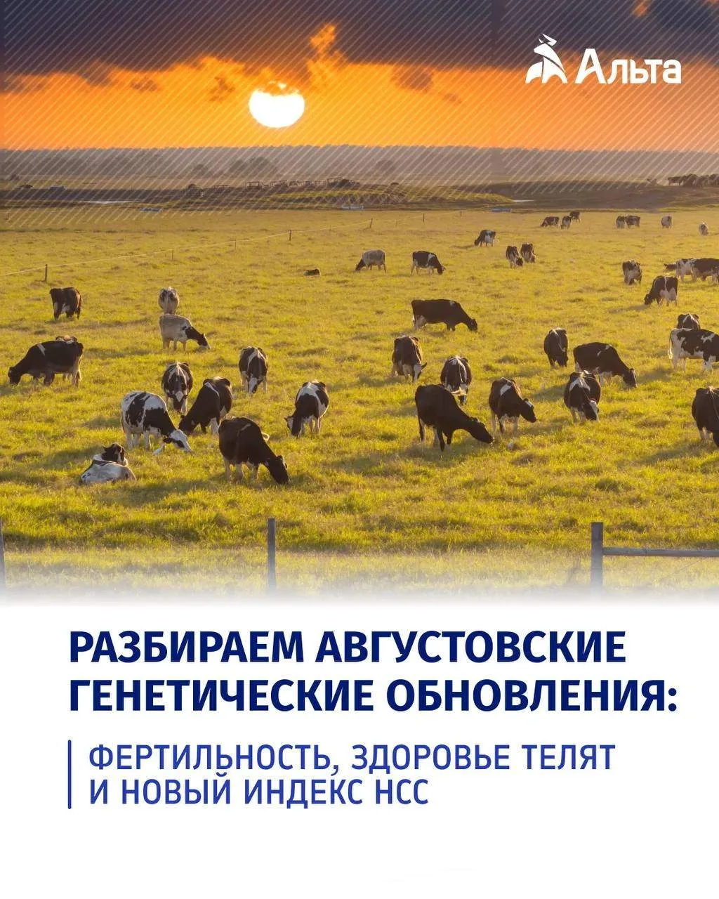 🗓 Переворачиваем календарь на 3 сентября: подводим генетические итоги августа